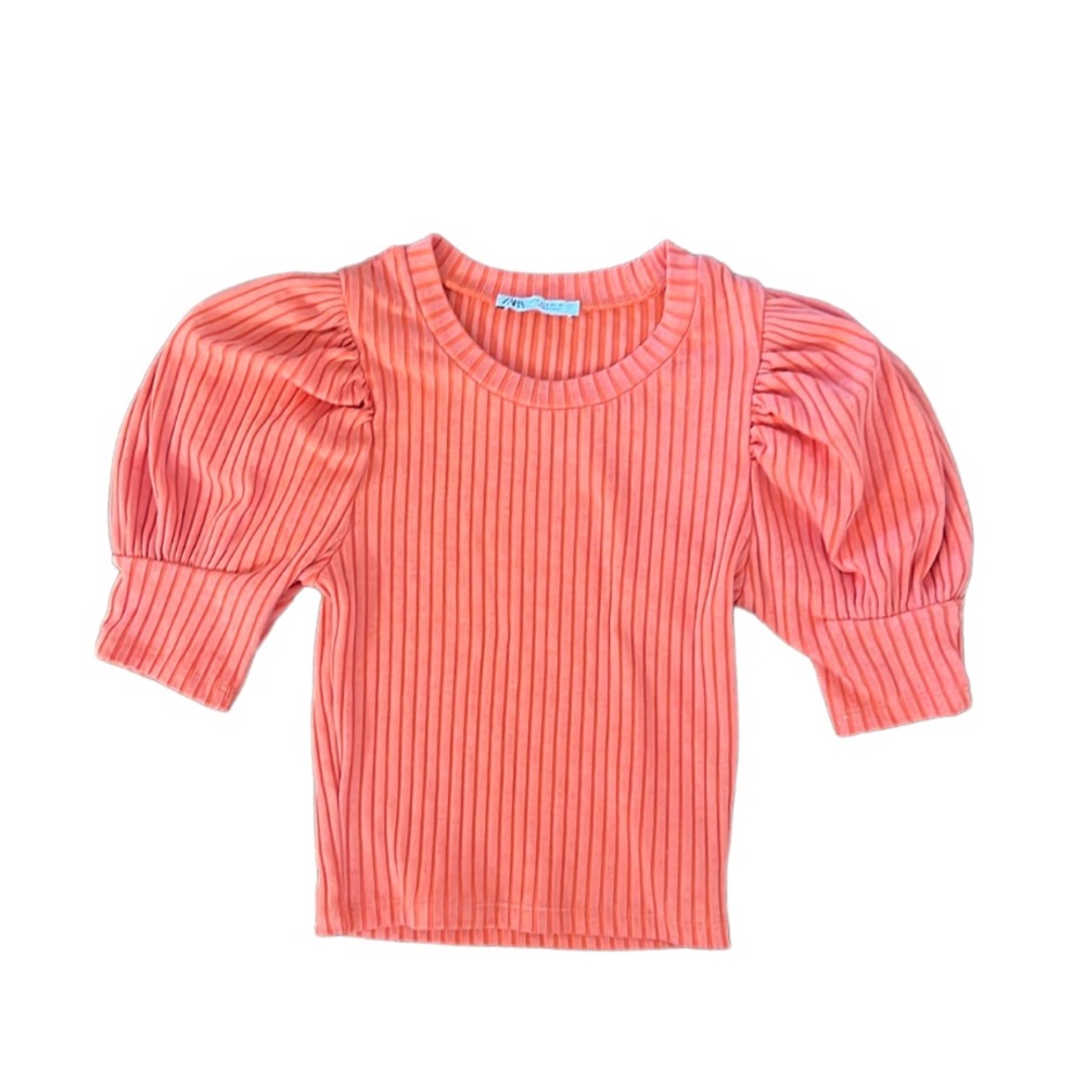 Zara Crop Top